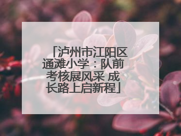 泸州市江阳区通滩小学：队前考核展风采 成长路上启新程