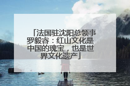 法国驻沈阳总领事罗毅睿：红山文化是中国的瑰宝，也是世界文化遗产