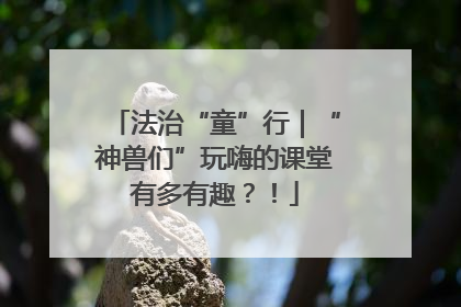 法治“童”行｜“神兽们”玩嗨的课堂有多有趣？！