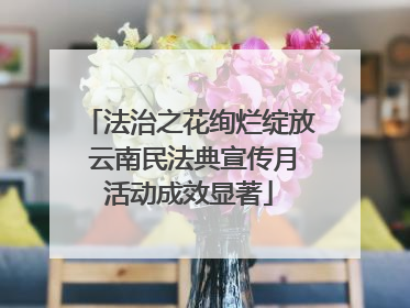 法治之花绚烂绽放 云南民法典宣传月活动成效显著