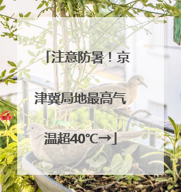 注意防暑！京津冀局地最高气温超40℃→