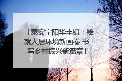 泰安宁阳华丰镇：绘就人居环境新画卷 书写乡村振兴新篇章