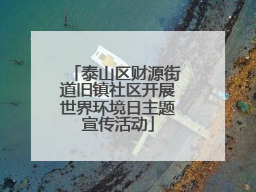 泰山区财源街道旧镇社区开展世界环境日主题宣传活动