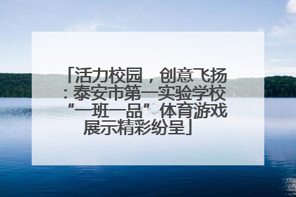 活力校园，创意飞扬：泰安市第一实验学校“一班一品”体育游戏展示精彩纷呈