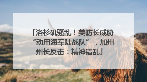 洛杉矶骚乱！美防长威胁“动用海军陆战队”，加州州长反击：精神错乱