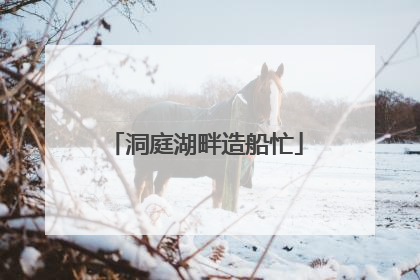 洞庭湖畔造船忙
