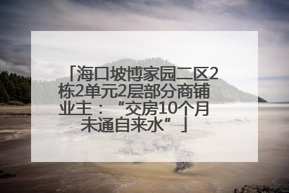 海口坡博家园二区2栋2单元2层部分商铺业主：“交房10个月未通自来水”