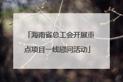 海南省总工会开展重点项目一线慰问活动