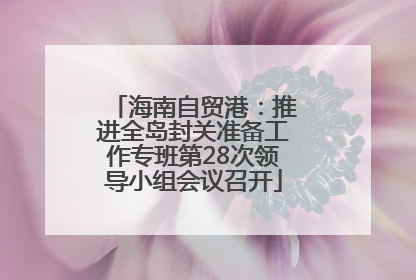 海南自贸港：推进全岛封关准备工作专班第28次领导小组会议召开