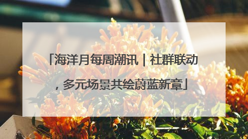 海洋月每周潮讯｜社群联动，多元场景共绘蔚蓝新章
