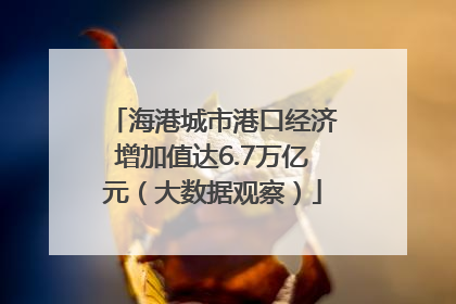 海港城市港口经济增加值达6.7万亿元（大数据观察）