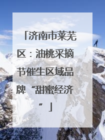 济南市莱芜区：油桃采摘节催生区域品牌“甜蜜经济”