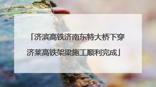 济滨高铁济南东特大桥下穿济莱高铁架梁施工顺利完成