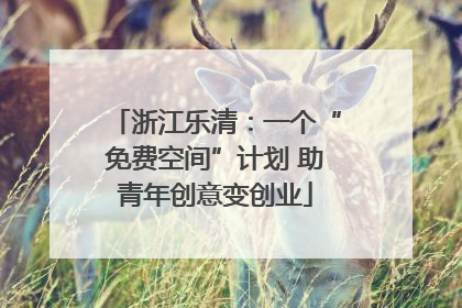 浙江乐清：一个“免费空间”计划 助青年创意变创业