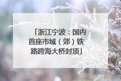 浙江宁波：国内首座市域（郊）铁路跨海大桥封顶