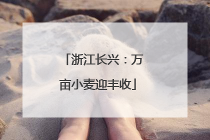 浙江长兴：万亩小麦迎丰收