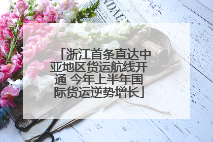 浙江首条直达中亚地区货运航线开通 今年上半年国际货运逆势增长