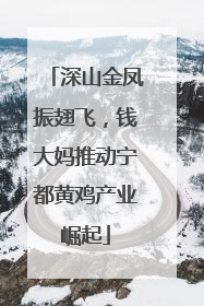 深山金凤振翅飞，钱大妈推动宁都黄鸡产业崛起