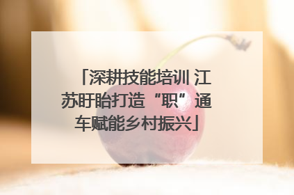 深耕技能培训 江苏盱眙打造“职”通车赋能乡村振兴