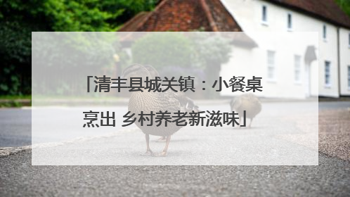 清丰县城关镇：小餐桌烹出 乡村养老新滋味