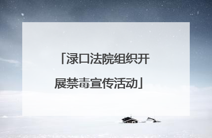 渌口法院组织开展禁毒宣传活动