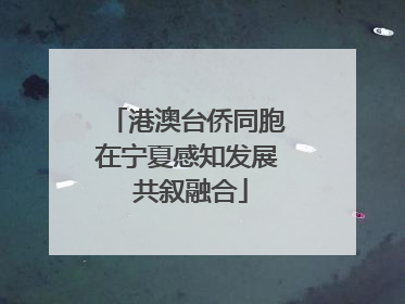 港澳台侨同胞在宁夏感知发展 共叙融合