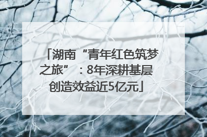 湖南“青年红色筑梦之旅”：8年深耕基层创造效益近5亿元