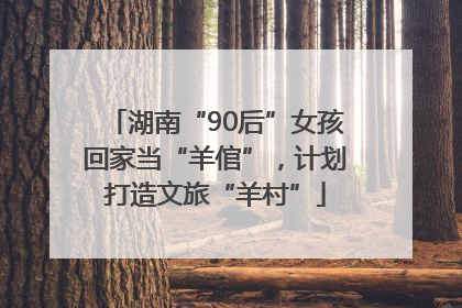 湖南“90后”女孩回家当“羊倌”，计划打造文旅“羊村”