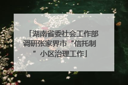 湖南省委社会工作部调研张家界市“信托制”小区治理工作