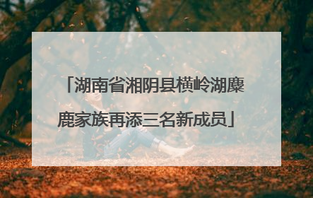 湖南省湘阴县横岭湖麋鹿家族再添三名新成员