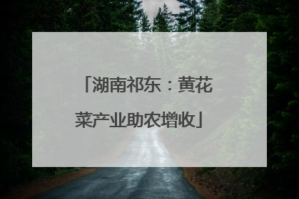湖南祁东：黄花菜产业助农增收