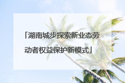 湖南城步探索新业态劳动者权益保护新模式