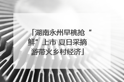 湖南永州早桃抢“鲜”上市 夏日采摘游带火乡村经济