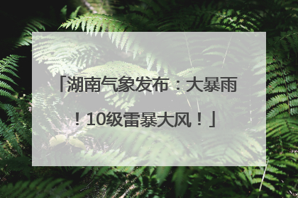 湖南气象发布：大暴雨！10级雷暴大风！