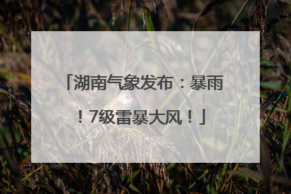 湖南气象发布：暴雨！7级雷暴大风！