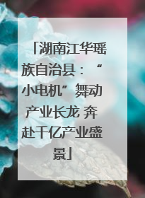湖南江华瑶族自治县：“小电机”舞动产业长龙 奔赴千亿产业盛景