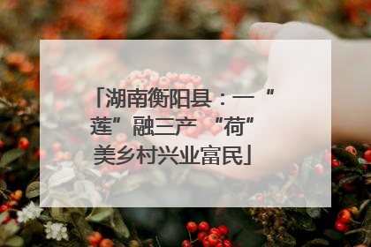 湖南衡阳县：一“莲”融三产 “荷”美乡村兴业富民