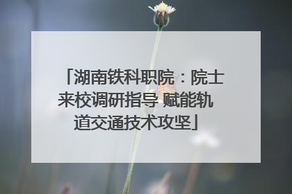 湖南铁科职院：院士来校调研指导 赋能轨道交通技术攻坚