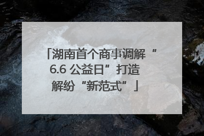 湖南首个商事调解“6.6 公益日”打造解纷“新范式”