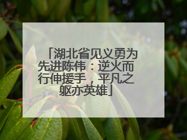 湖北省见义勇为先进陈伟：逆火而行伸援手，平凡之躯亦英雄
