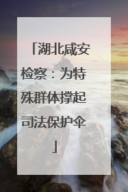 湖北咸安检察：为特殊群体撑起司法保护伞