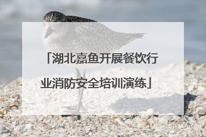 湖北嘉鱼开展餐饮行业消防安全培训演练