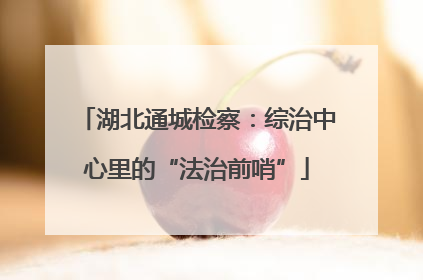 湖北通城检察：综治中心里的“法治前哨”