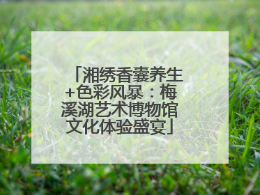 湘绣香囊养生+色彩风暴：梅溪湖艺术博物馆文化体验盛宴