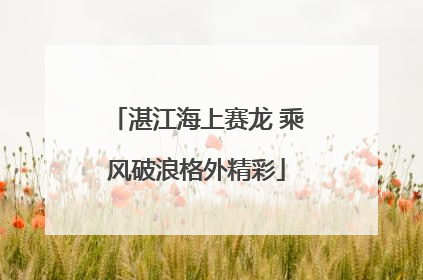 湛江海上赛龙 乘风破浪格外精彩