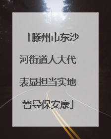 滕州市东沙河街道人大代表显担当实地督导保安康