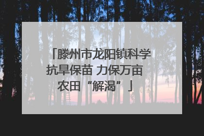 滕州市龙阳镇科学抗旱保苗 力保万亩农田“解渴”