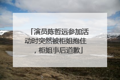 演员陈哲远参加活动时突然被柜姐抱住，柜姐事后道歉