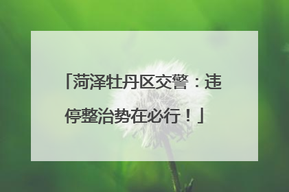 菏泽牡丹区交警：违停整治势在必行！