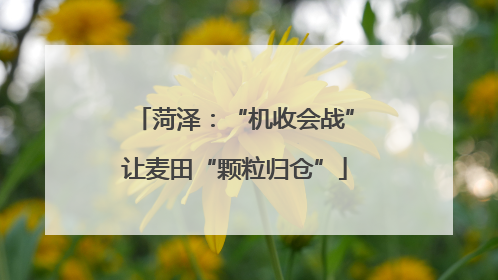 菏泽：“机收会战”让麦田“颗粒归仓”